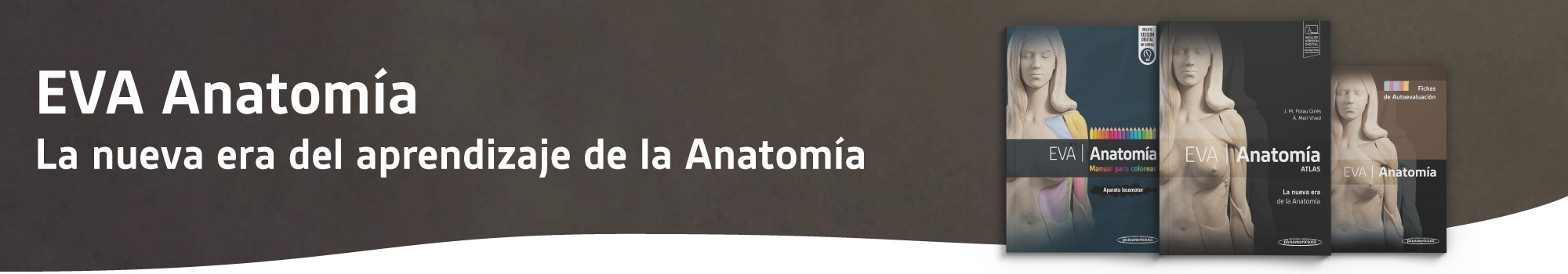 Descubre EVA Anatomía: una forma innovadora, visual y práctica de estudiar el cuerpo humano